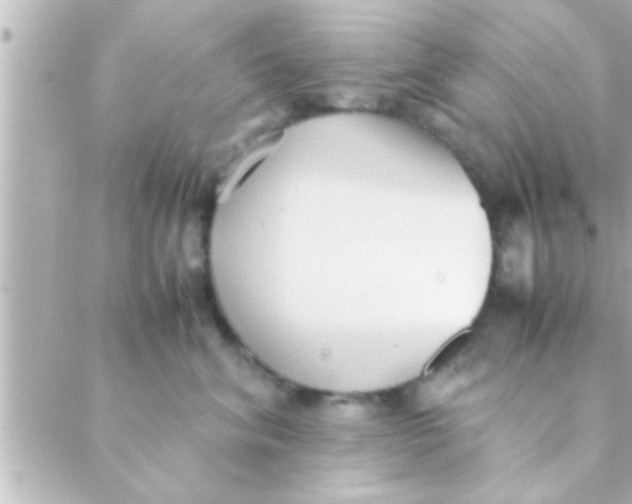 X0000088640620200706151944