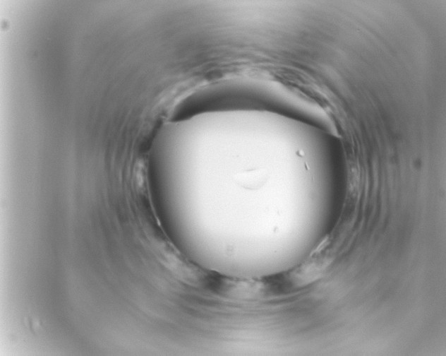 X0000088640621200706151944