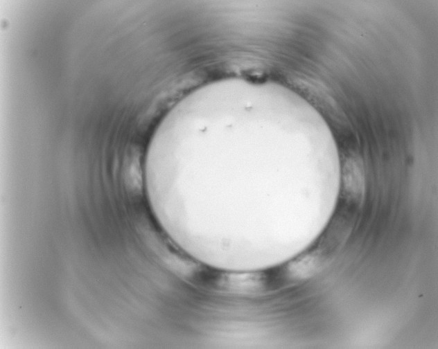 X0000088640622200706151944