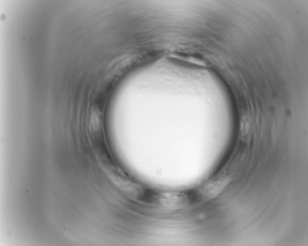 X0000088640623200706151944