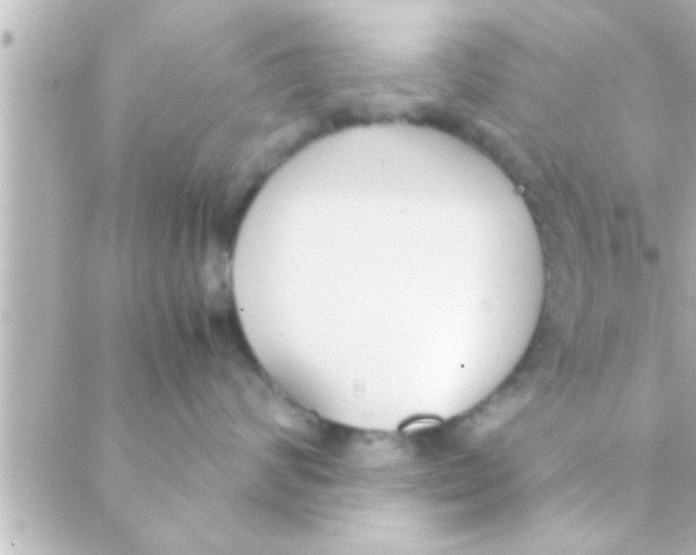 X0000088640624200706151944