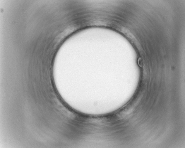 X0000088640625200706151943