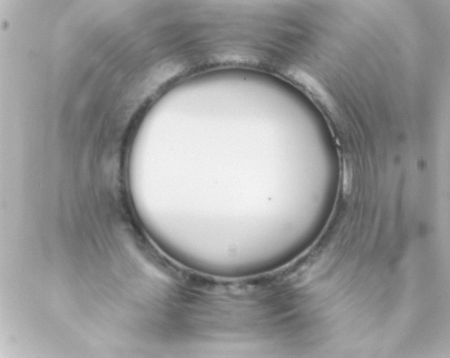 X0000088640627200706151943