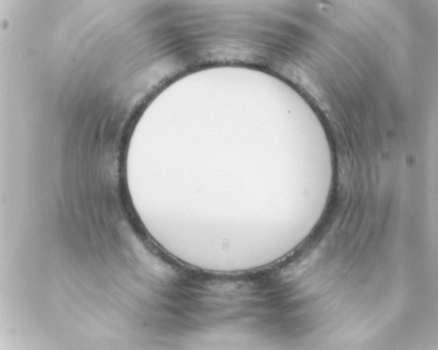 X0000088640629200706151943