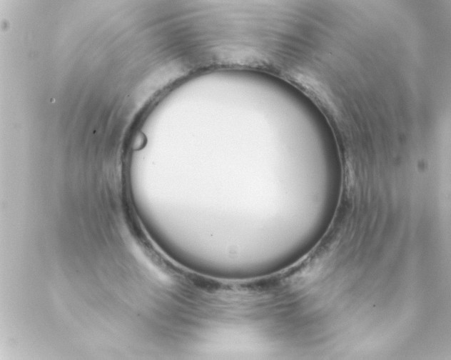 X0000088640630200706151943