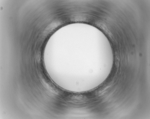 X0000088640631200706151943