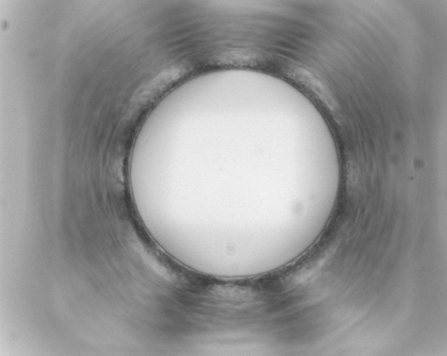 X0000088640633200706151943