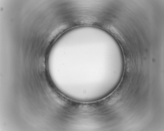 X0000088640634200706151943