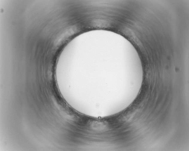 X0000088640635200706151943