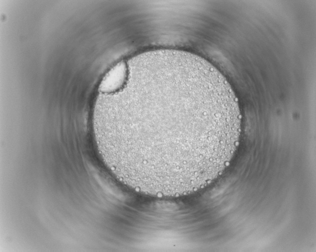 X0000088640636200706151943