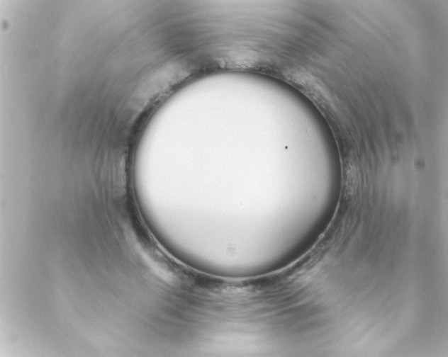 X0000088640638200706151943