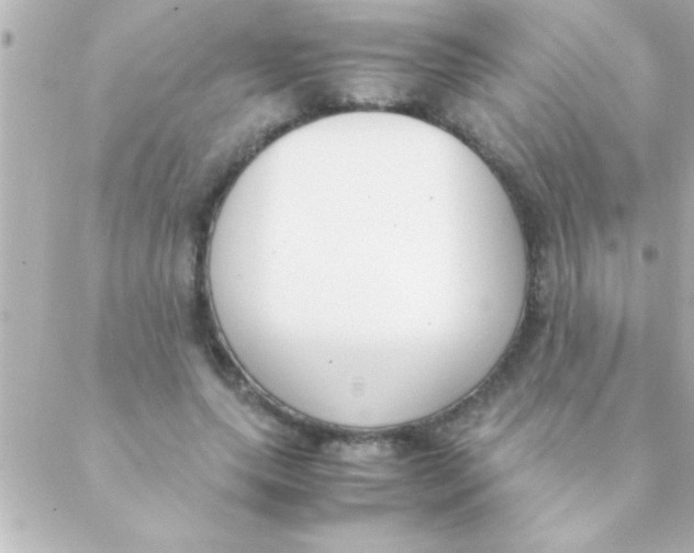 X0000088640639200706151943