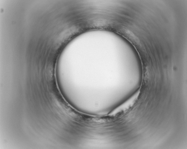 X0000088640640200706151943