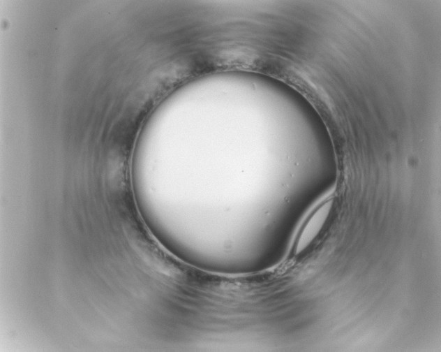 X0000088640641200706151943