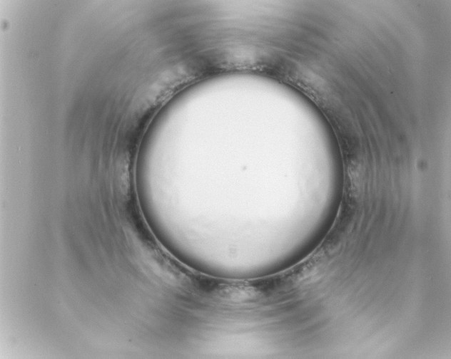 X0000088640642200706151943