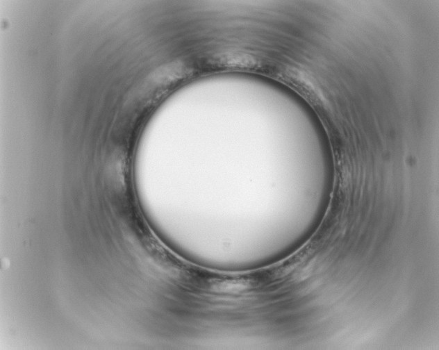 X0000088640643200706151943