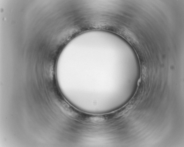 X0000088640644200706151943