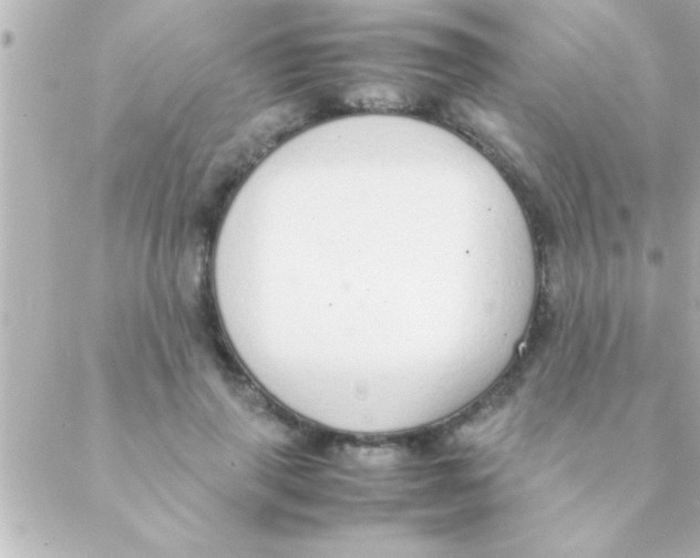 X0000088640645200706151943