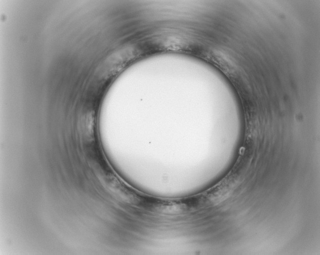 X0000088640646200706151943