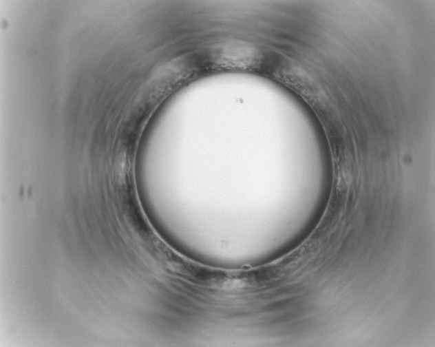 X0000088640647200706151943