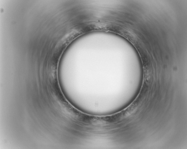 X0000088640648200706151943