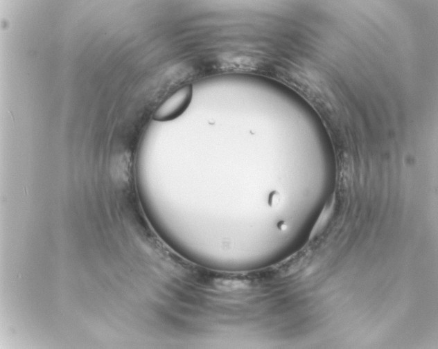 X0000088640649200706151943