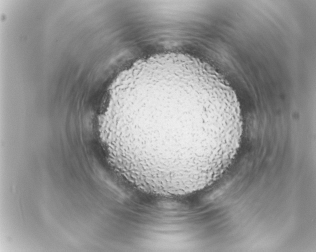 X0000088640650200706151943