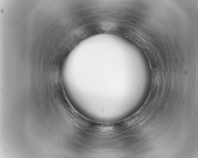 X0000088640651200706151943