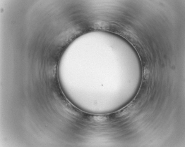 X0000088640652200706151943