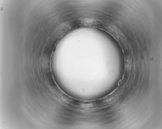 X0000088640653200706151943