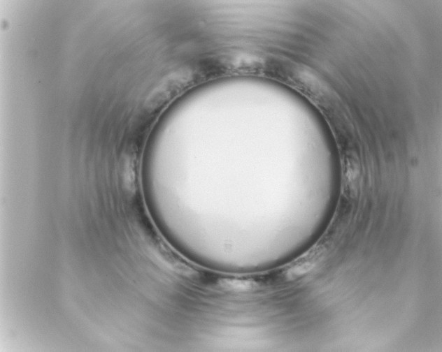 X0000088640654200706151943