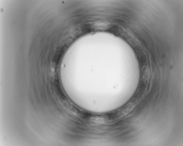 X0000088640655200706151943