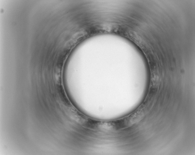 X0000088640656200706151943