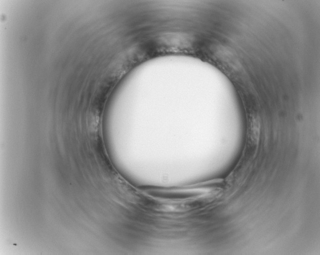 X0000088640657200706151943