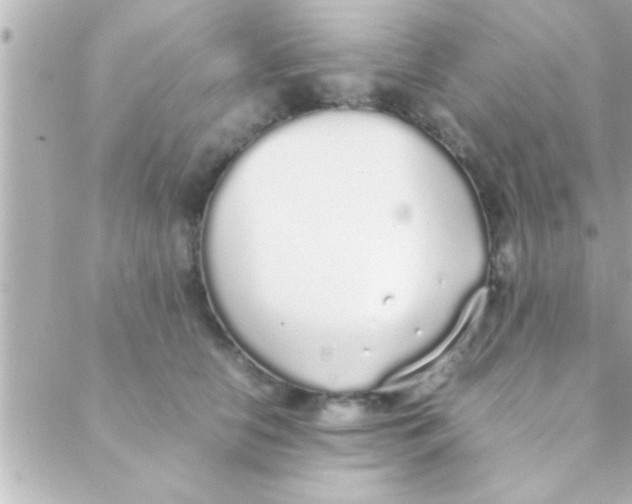 X0000088640658200706151943