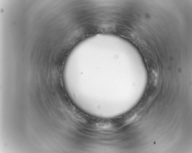 X0000088640659200706151944