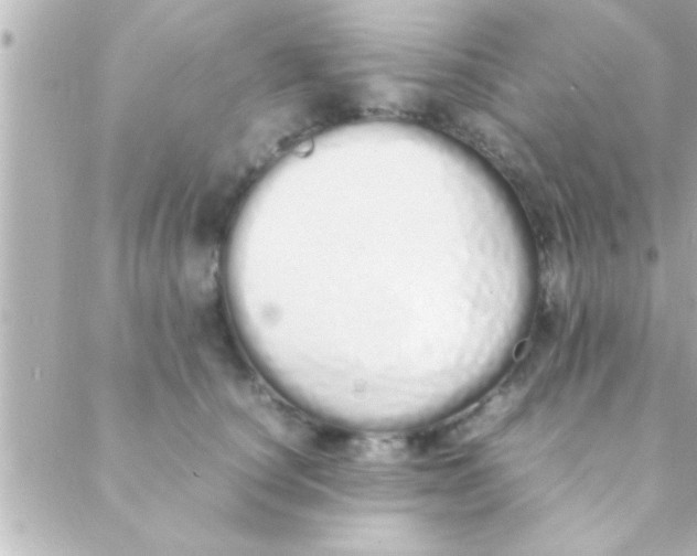 X0000088640660200706151944