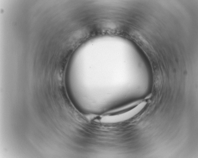 X0000088640661200706151944