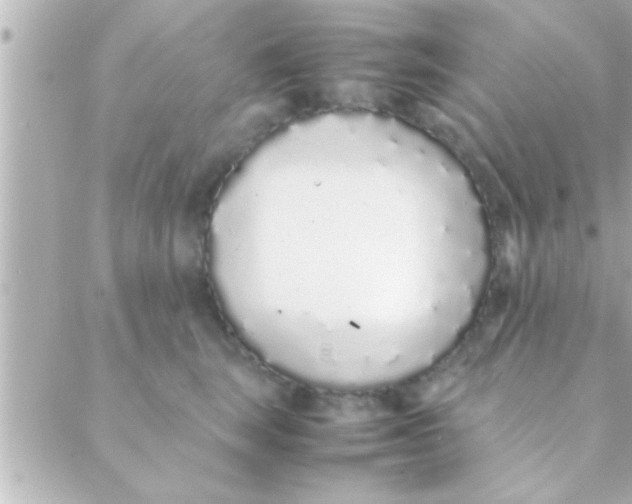 X0000088640663200706151944