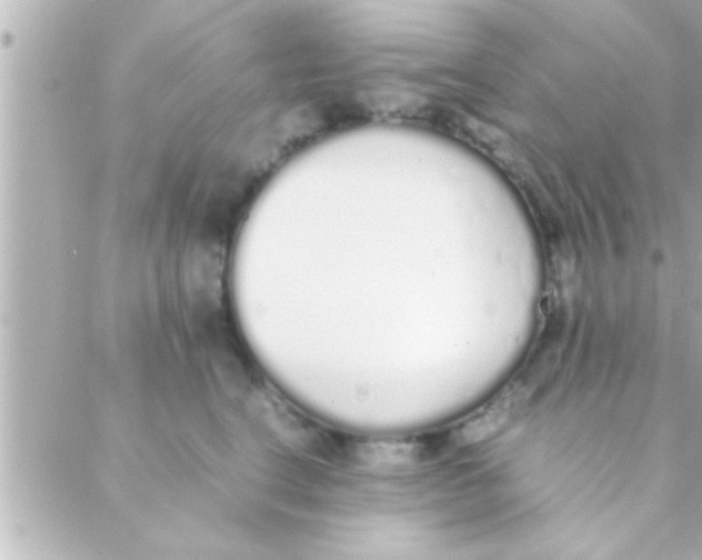 X0000088640664200706151944