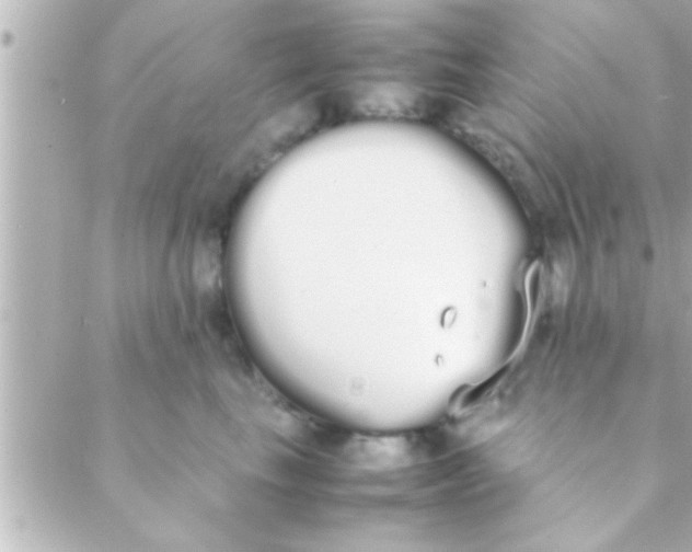 X0000088640665200706151944