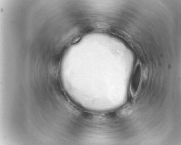 X0000088640666200706151944