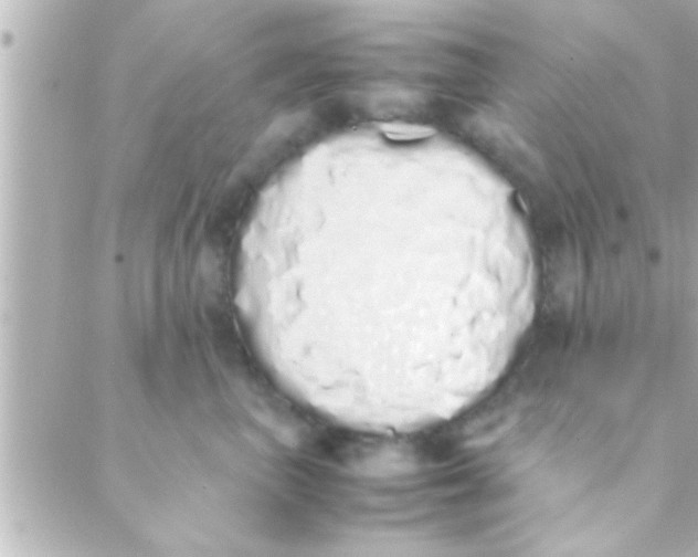 X0000088640667200706151944