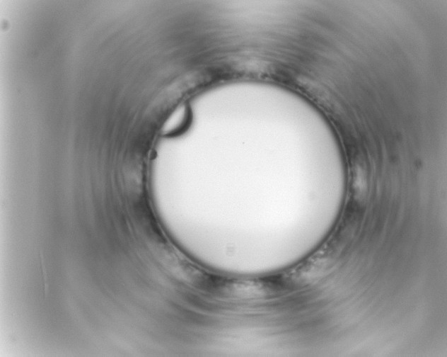 X0000088640668200706151944