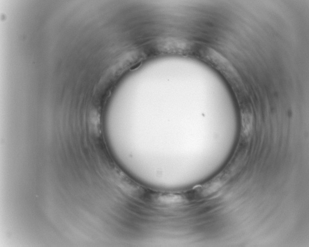 X0000088640669200706151944