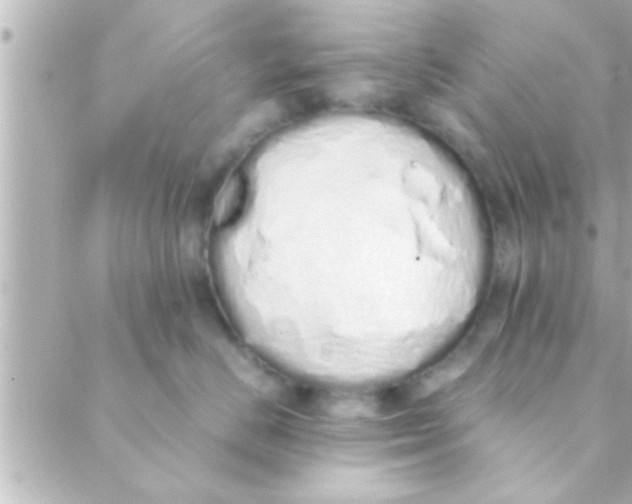 X0000088640670200706151944