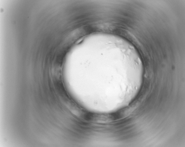 X0000088640671200706151944