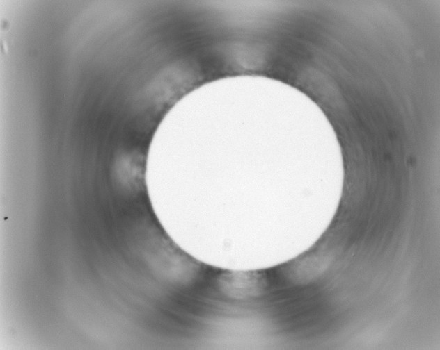 X0000088640672200706151944