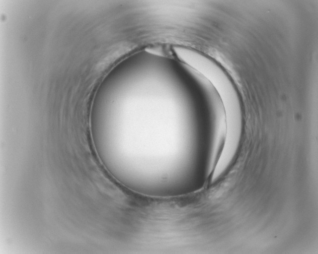 X0000088640673200706151943