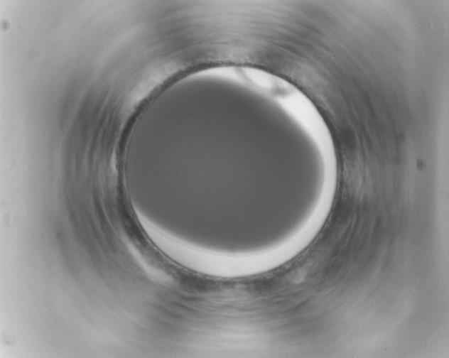 X0000088640674200706151943